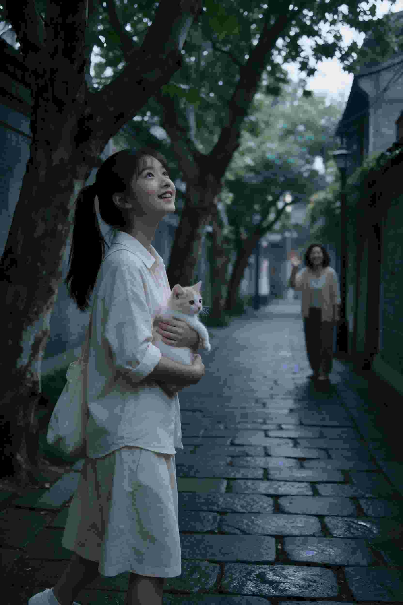 吸血鬼骑士